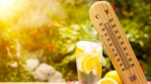 canicule-fr