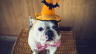 pronti-ad-un-halloween-ricco-di-offerte-da-paura-it