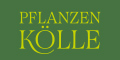 Pflanzen Kölle Logo