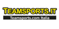 Teamsports