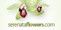 Serenata Flowers