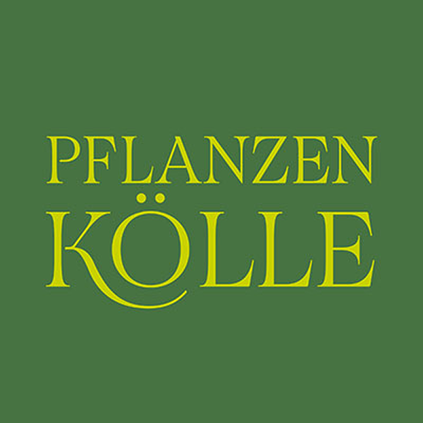 Pflanzen Kölle Logo