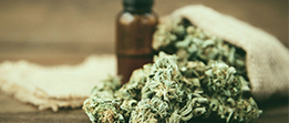 CBD-CANNABIDIOL
