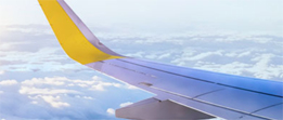 Vueling