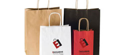 Exclusive Paper Bags