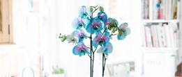 Blossoming Gifts