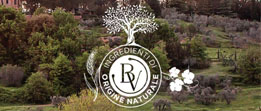 Bottega Verde