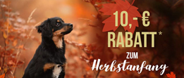 alsa-hundewelt