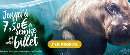 ZooParc de Beauval