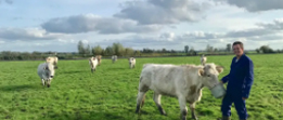 Koopeenkoe.nl