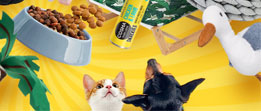 banner