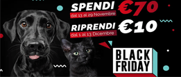 BauZaar.com