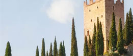 Hotels.com