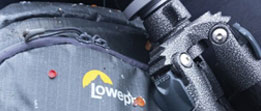 Lowepro