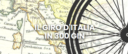 GinShop