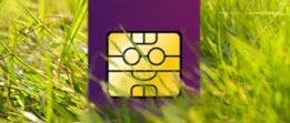 Youfone