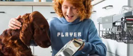 banner