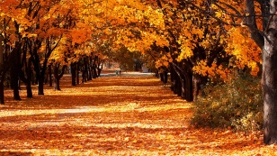 buoni-propositi-autunno